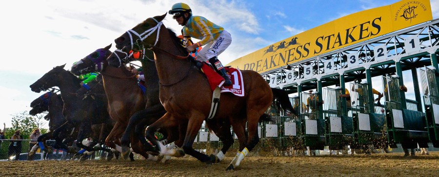 How To Place Your Preakness Stakes Bet