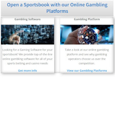 PricePerPlayer Pay Per Head Review sbpph